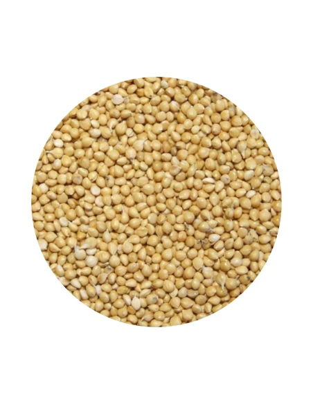 Millet jaune JARAD 1 kg
