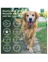 Champu para Perro MENFORSAN Repelente de Insectos 1L