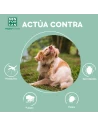 Champú MENFORSAN Repelente de Insectos para Perros 5Lts Envase Profesional