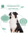 Champú MENFORSAN Repelente de Insectos para Perros 5Lts Envase Profesional