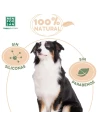 Shampooing pour chien Menforsan à l’huile de vison 300ml
