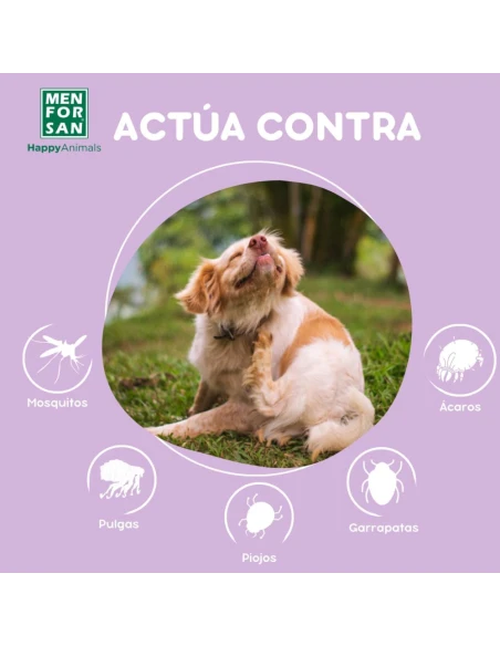 shampoo of pleasant perfume that scares away all kinds of parasites in our dog
