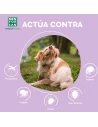 shampoo of pleasant perfume that scares away all kinds of parasites in our dog