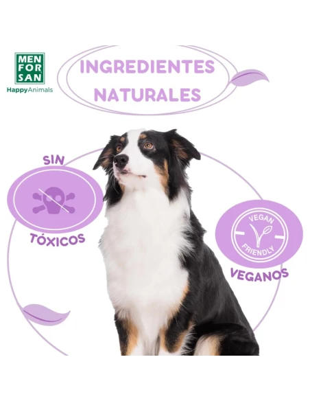 shampoo of pleasant perfume that scares away all kinds of parasites in our dog