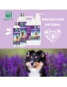 champú anti insectos MENFORSAN 300 ml|Complementos para aves