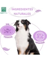 Shampooing en mousse, formulé pour conjurer toutes sortes de parasites externes.