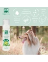 Foam shampoo for cats and dogs, based on Aloe Vera