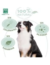 Shampooing mousse pour chats et chiens, à base d’Aloe Vera