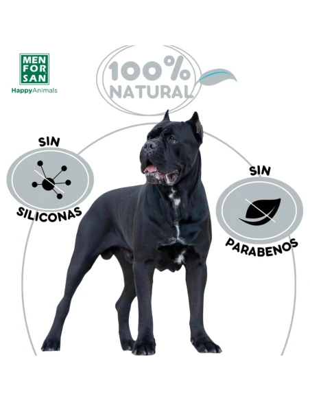 Champú MENFORSAN para pelo negro 300 ml