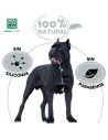 Champú MENFORSAN para pelo negro 300 ml|Complementos para aves