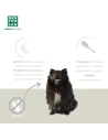 Shampooing en poudre Menforsan avec insectifuge