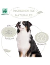 Champú MENFORSAN en polvo con repelente de insectos 250 g|Complementos para aves