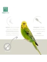 Menforsan antiparasitaire pour votre animal de compagnie