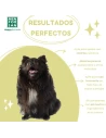 Champú para perros relajante y anti picores MENFORSAN ÁRBOL DE TE 300 ml|Complementos para aves