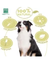 Champú para perros relajante y anti picores MENFORSAN ÁRBOL DE TE 300 ml|Complementos para aves