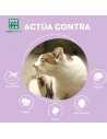 Menforsan antiparsite cat insecticide spray