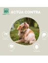 Insecticida en Spray MENFORSAN para Perros con Margosa, Geraniol y Lavandino 250ml