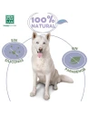 SHAMPOOING MENFORSAN POUR LES CHIENS DE CHEVEUX BLANCS 300 ML