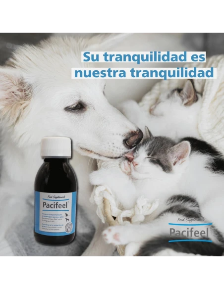 Jarabe Relajante para perros y gatos PACIFEEL 100 ml Heel