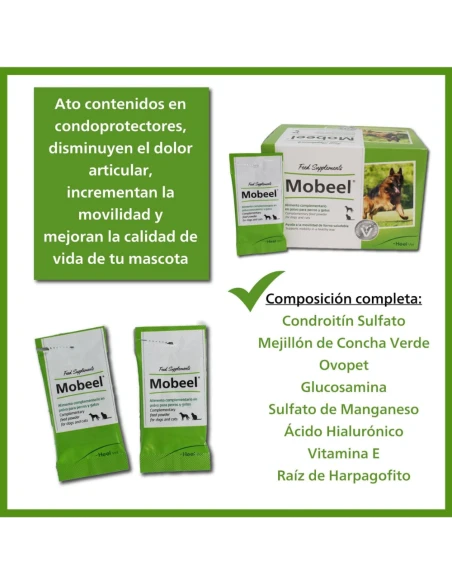 Heel Mobeel is a supplement powder for cats and dogs that help the disabled in a healthy way.