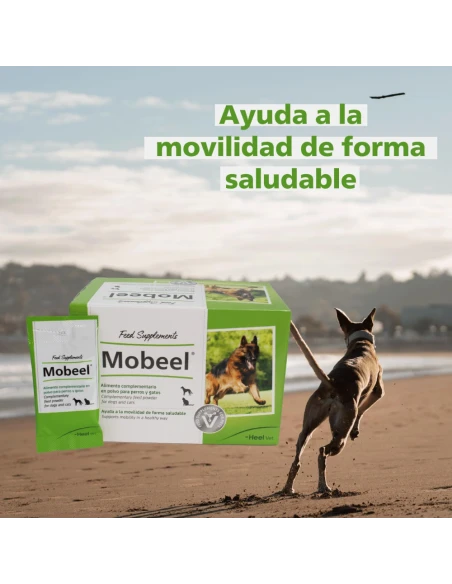 Heel Mobeel is a supplement powder for cats and dogs that help the disabled in a healthy way.
