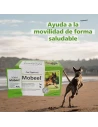Heel Mobeel is a supplement powder for cats and dogs that help the disabled in a healthy way.
