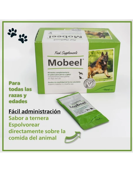 Heel Mobeel is a supplement powder for cats and dogs that help the disabled in a healthy way.
