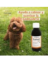 Jarabe para la tos en perros TUSHEEL HEEL 150 ml