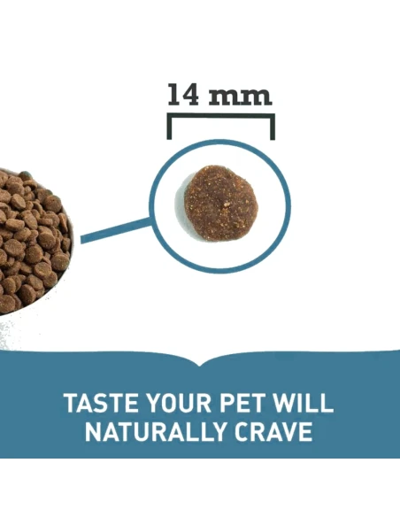Pienso para Perro ACANA pacifica de Pescado 11,4kg|Complementos para aves