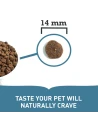 Pienso para Perro ACANA pacifica de Pescado 11,4kg|Complementos para aves