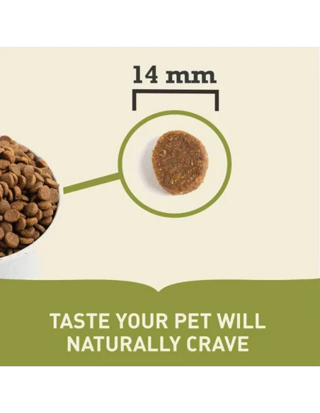 Pienso para Perro ACANA Senior 11,4kg