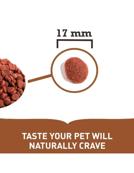 Pienso para Perro Adulto ACANA de Raza Grande 17kg|Complementos para aves