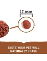 Pienso para Perro Adulto ACANA de Raza Grande 17kg|Complementos para aves