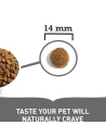ACANA Puppy Large Breed – Pienso Cachorros Razas Grandes