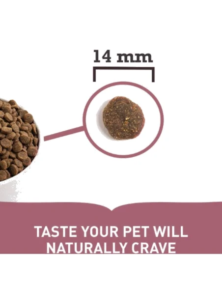 Pienso para Perro Adulto ACANA Grass Fed Lamb Cordero 17kg|Complementos para aves