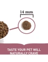Pienso para Perro Adulto ACANA Grass Fed Lamb Cordero 17kg|Complementos para aves