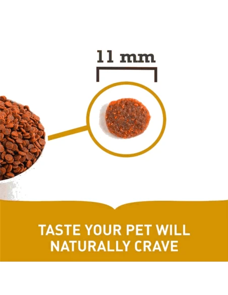 Pienso para Cachorro ACANA Puppy Heritage 11,4kg|Complementos para aves