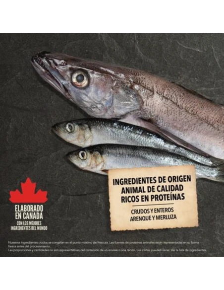 Pienso para Perro ACANA Wild Coast de Pescado 14,5kg