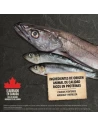 Pienso para Perro ACANA Wild Coast de Pescado 14,5kg