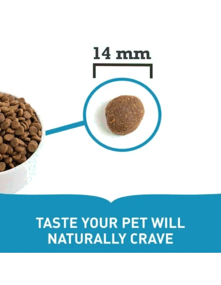 Pienso para Perro Adulto ACANA 17kg|Complementos para aves