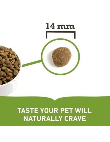 Pienso para Perro de Todas las Razas ACANA Grasslands 6 kg|Complementos para aves