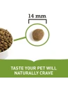 Pienso para Perro de Todas las Razas ACANA Grasslands 6 kg|Complementos para aves