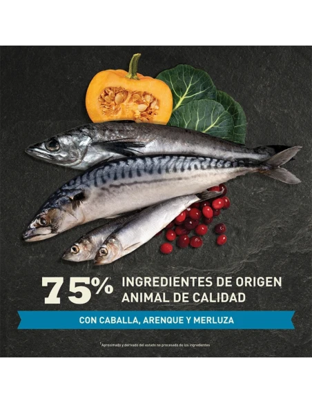 Comida para Gato ACANA Pacifica 1,8kg|Complementos para aves