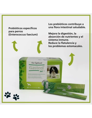 GASTEEL digestive aid for dogs powdered 30 envelopes of 3 gr.