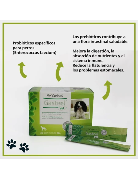 GASTEEL digestive aid for dogs powdered 30 envelopes of 3 gr.