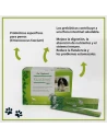 GASTEEL digestive aid for dogs powdered 30 envelopes of 3 gr.