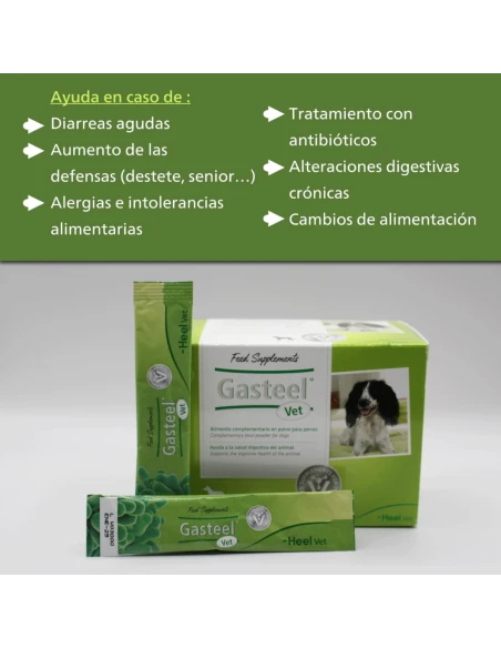 GASTEEL digestive aid for dogs powdered 30 envelopes of 3 gr.