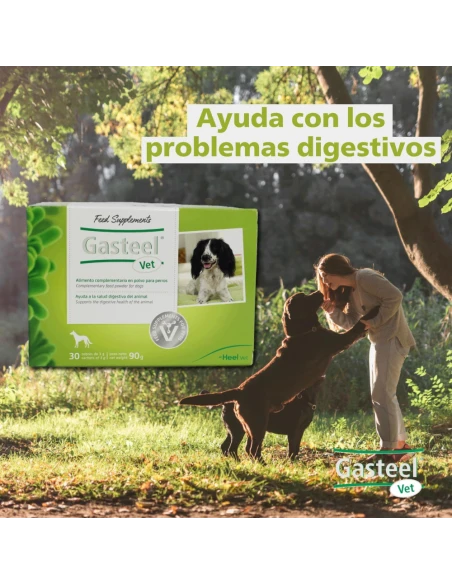 GASTEEL digestive aid for dogs powdered 30 envelopes of 3 gr.