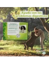 GASTEEL digestive aid for dogs powdered 30 envelopes of 3 gr.