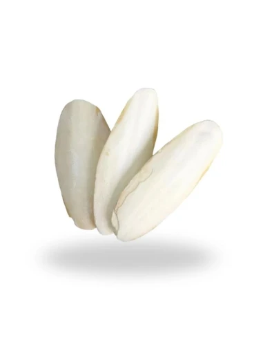 Jibias para Aves PIUMER – 10 Unidades – Tamaño Medio – Suplemento Natural de Calcio